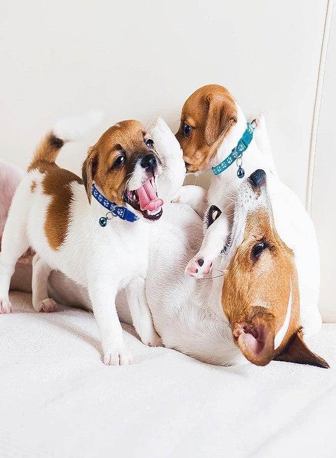 D&C PAWS طوق D&C PAWS للقطط الصغيرة مع أجراس، مصنوع من النايلون بنقشة مخالب، قابل للتعديل، آمن للحيوانات الأليفة، مناسب للقطط والأرانب (لون عشوائي، عبوة من قطعة واحدة) (أسود) - Image 3